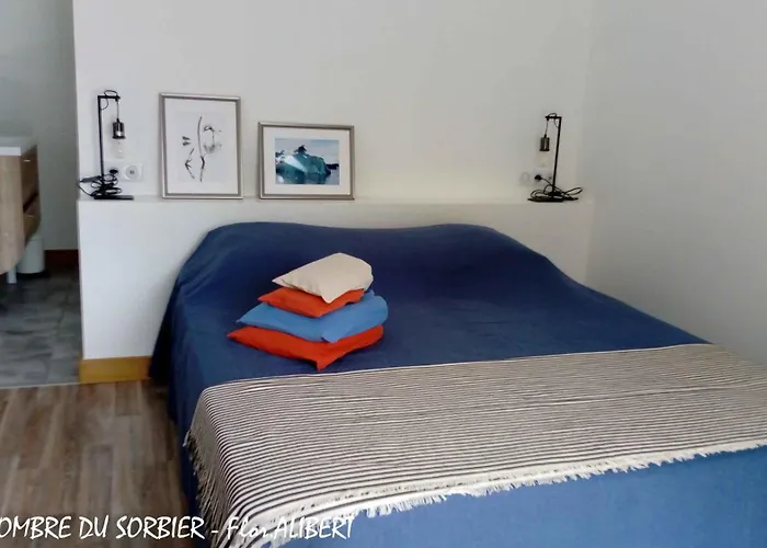 בית נופש A L'ombre Du Sorbier Terrasson